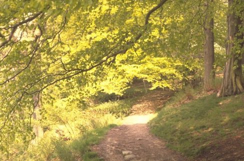 Yorkshire Dales