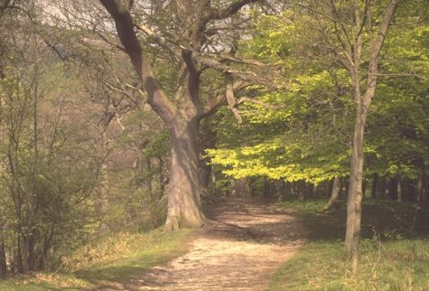 Yorkshire Dales